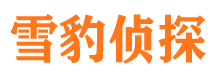 榆中侦探